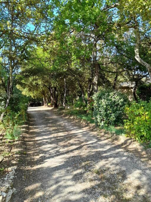 Ménerbes Villa Le Bosquet En Luberon. מראה חיצוני תמונה
